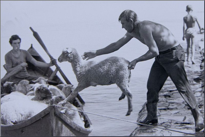 serban_vornicu-crangasimuzeu_27