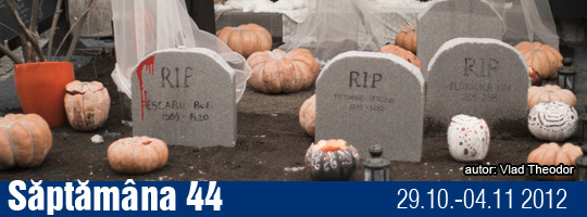 Saptamana 44-2012