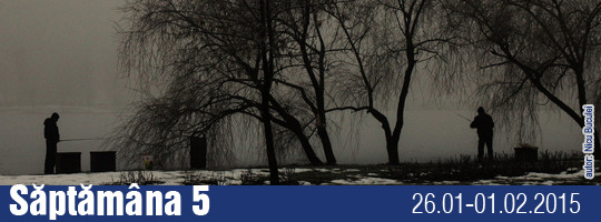 Saptamana 05-2015
