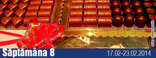 Saptamana 08-2014