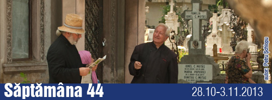Saptamana 44-2013