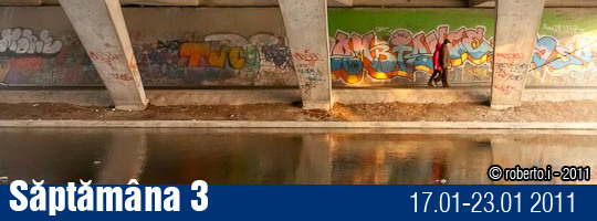 Saptamana 03-2011