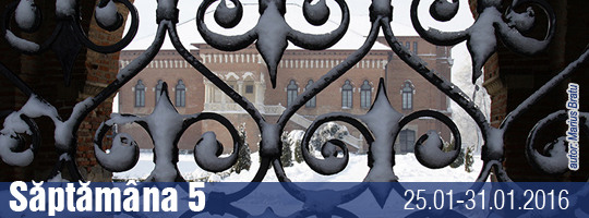 Saptamana 05-2016