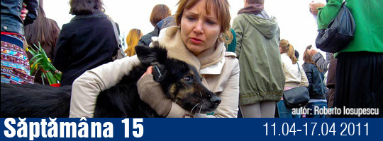 Saptamana 15-2011