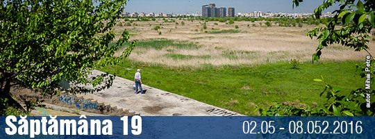 Saptamana 19-2016