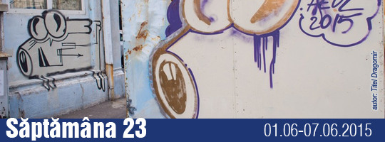 Saptamana 23-2015