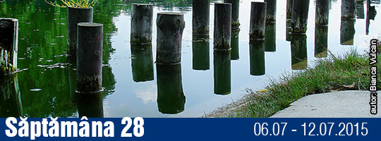 Saptamana 28-2015