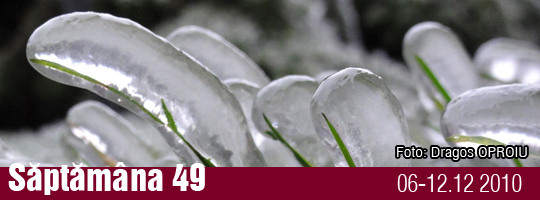 Saptamana 49-2010
