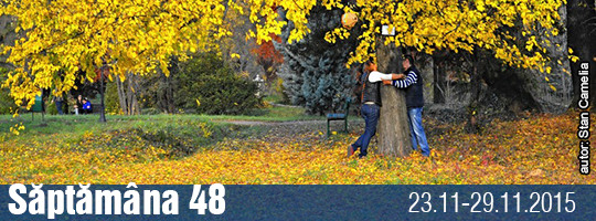 Saptamana 48-2015