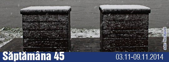Saptamana 45-2014