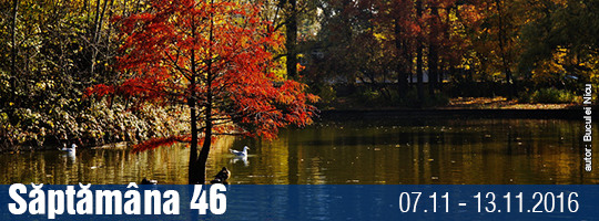 Saptamana 46-2016