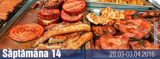 Saptamana 14-2016