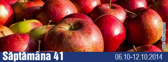 Saptamana 41-2014
