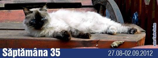 Saptamana 35-2012