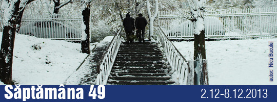 Saptamana 49-2013