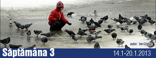Saptamana 3 - 2013