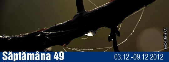 Saptamana 49-2012