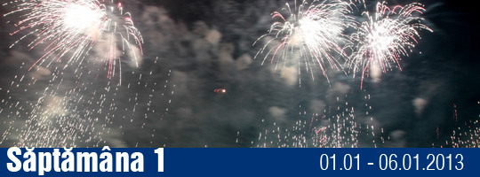 Saptamana 1-2013