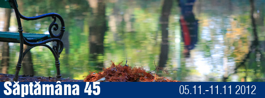 Saptamana 45-2012