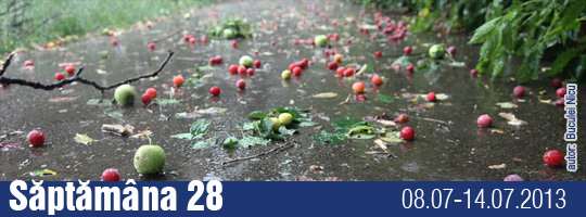Saptamana 28-2013