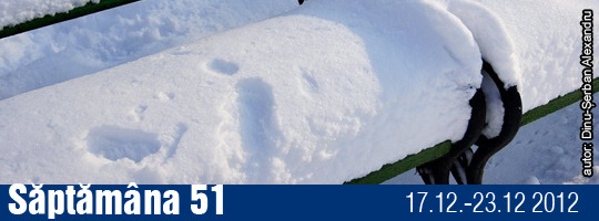 Saptamana 51-2012