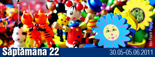 Saptamana 22-2011