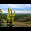 Dobrogea de la sud la nord